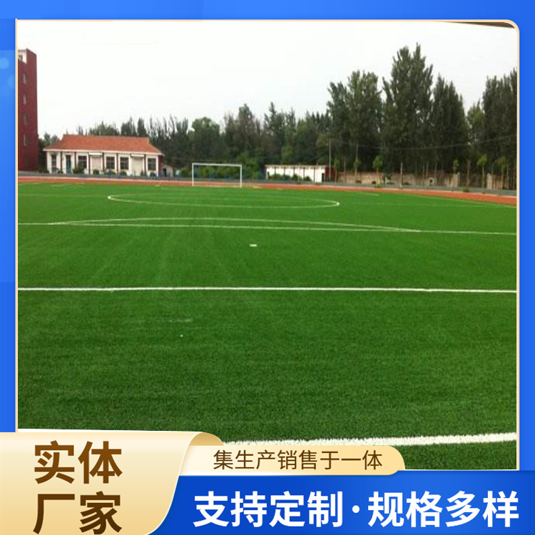 上饶市硅PU人造草坪 - 哪里好